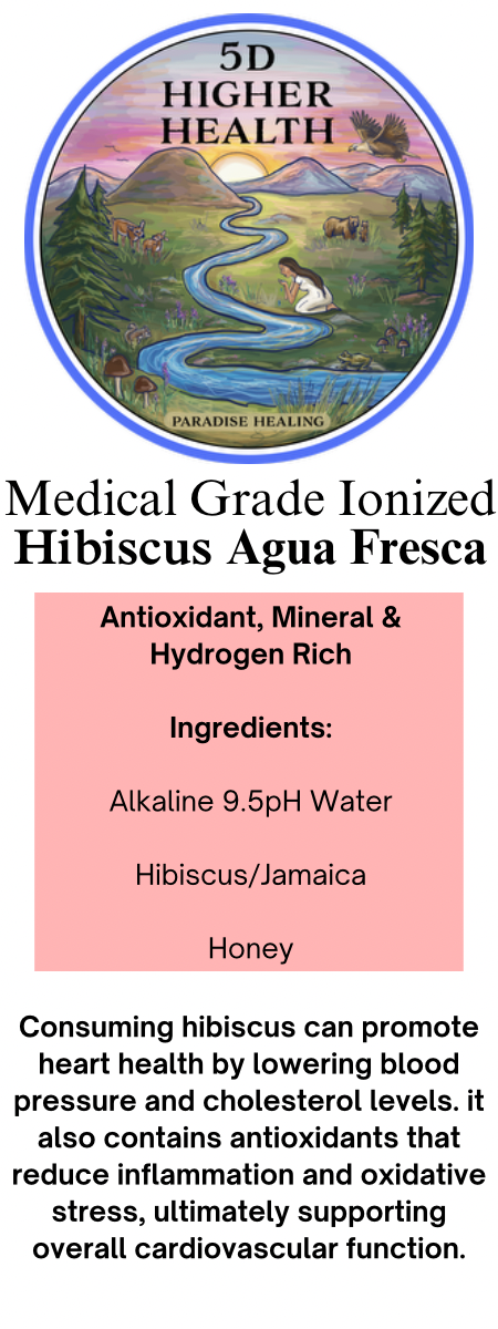 Wellness Water - Medical Grade Ionized Hibiscus/Jamaica Agua Fresca