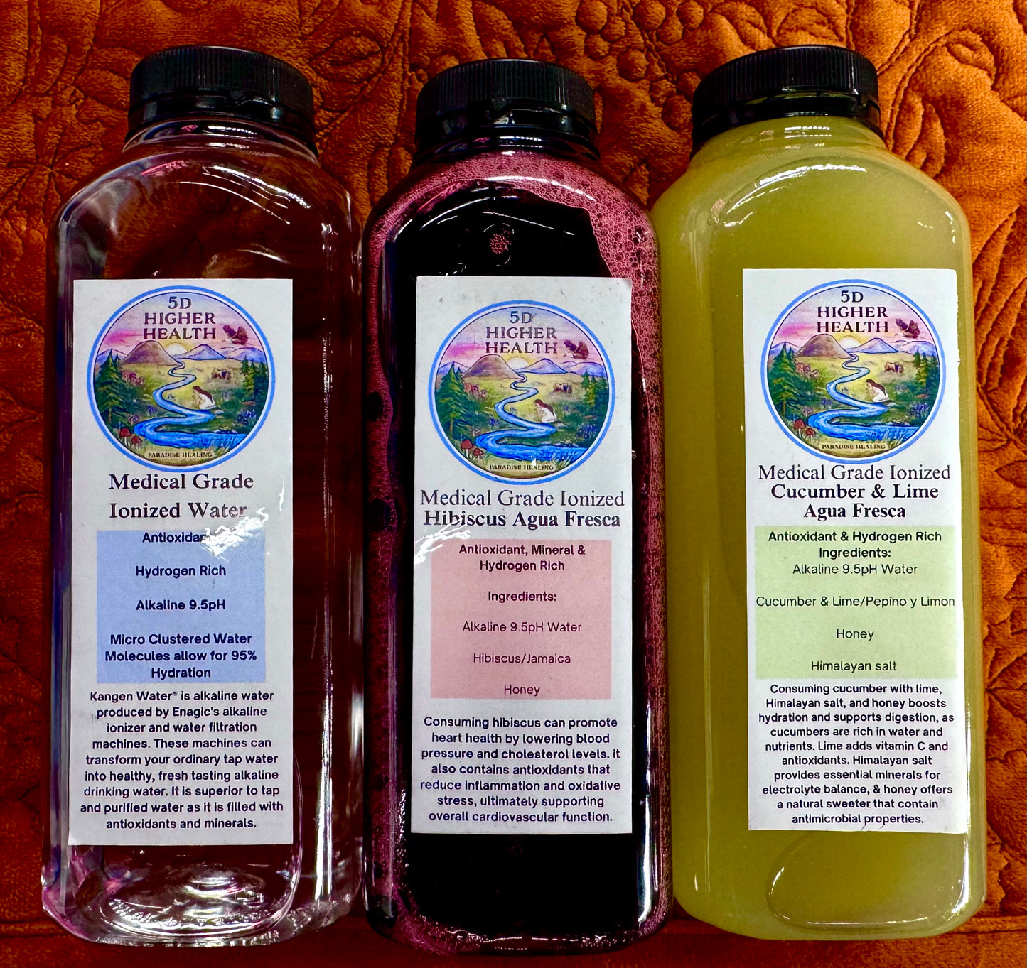 Wellness Water - Medical Grade Ionized Hibiscus/Jamaica Agua Fresca