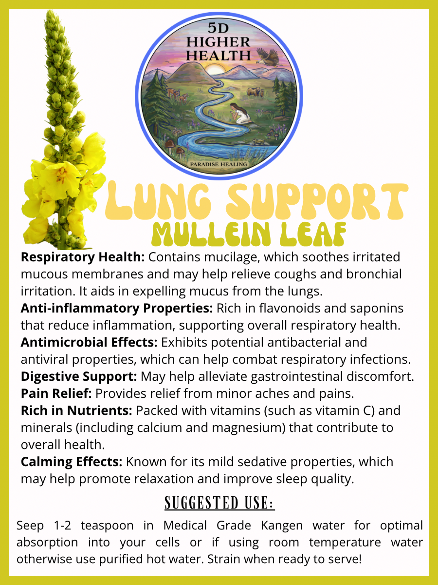 Lung Support - Loose Mullein Leaf (5oz)