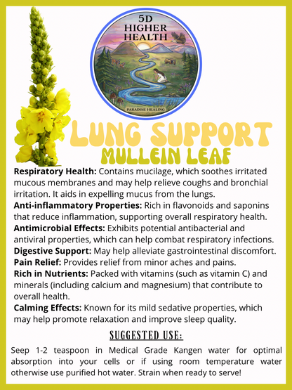 Lung Support - Loose Mullein Leaf (5oz)