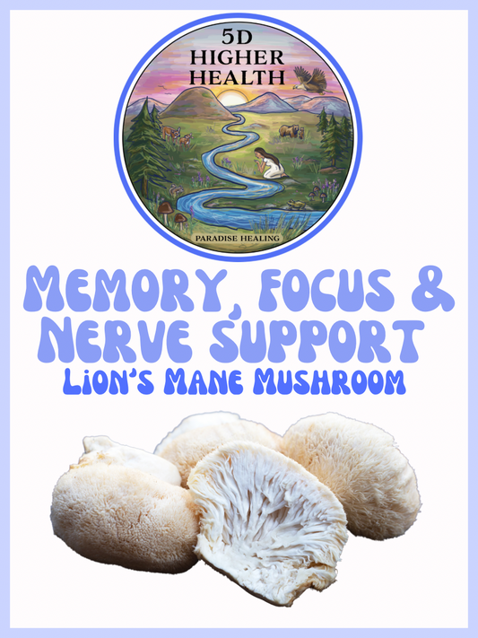 Lion’s Mane Mushroom Capsules